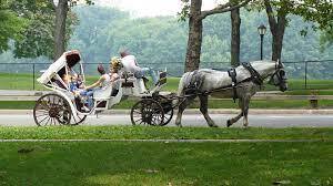 central park ny horse and buggy