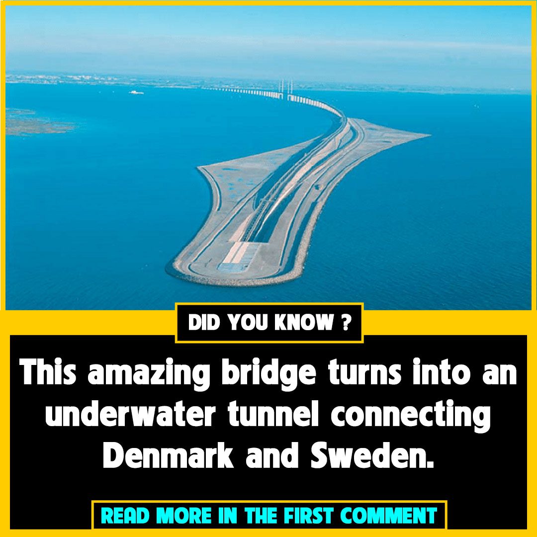 Explore the Oresund bridge across the ocean in Sweden