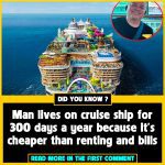 Meet the IT Whiz Who Lives on a Cruise Ship! Learn How He Swapped Rent for 300 Days of Adventure