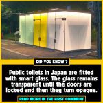 Japan's See-Through Toilets: A Magical Peek Inside