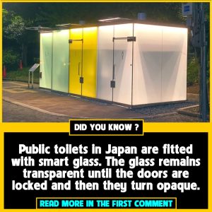 Japan's See-Through Toilets: A Magical Peek Inside - Phun Celeb Extra