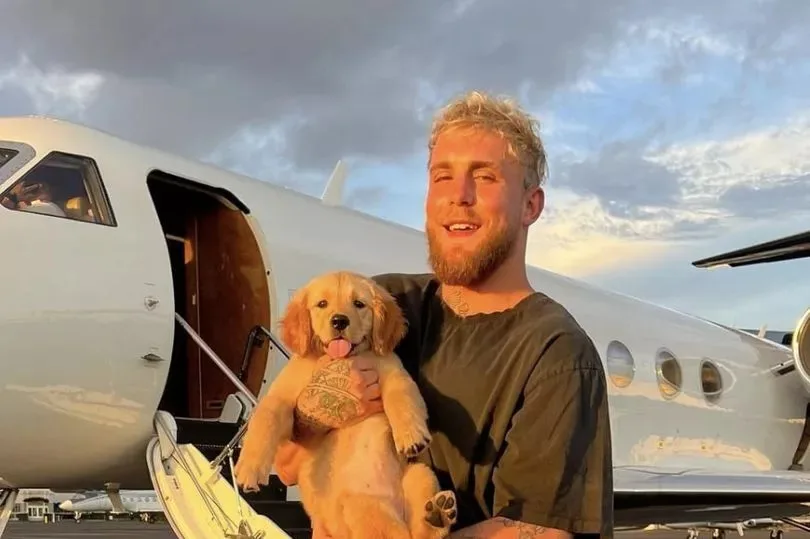 jake paul's flight home struck by lightning as he 'prays' for safety