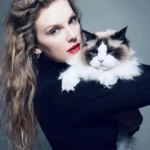 Get More Job Offers with These LinkedIn Tips! 7 aylor Swift Sent Student Loan Money to a Super Fan
