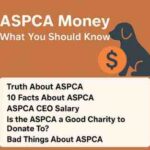 Are $2,000 Celebrity MRI Scans Worth It? 2 ASPCA Money